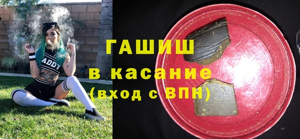 стаф Алзамай