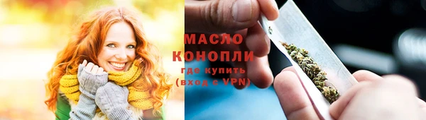 индика Ладушкин