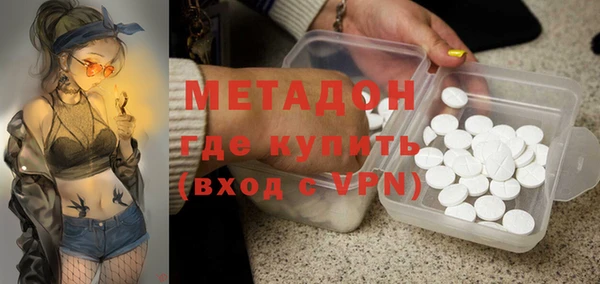 индика Ладушкин
