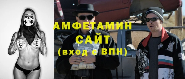 стаф Алзамай